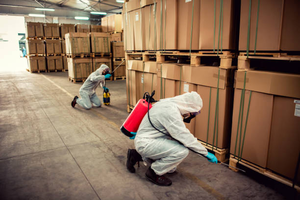 Best Wasp Removal Services  in Pasadena, CA