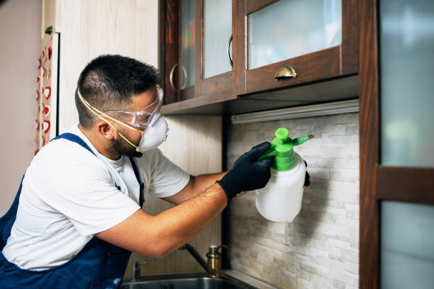 Best Cockroach Control Services  in Pasadena, CA