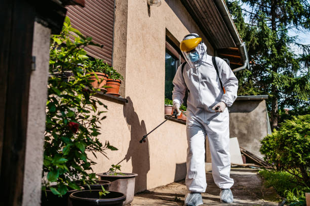 Best Mosquito Control Services  in Pasadena, CA
