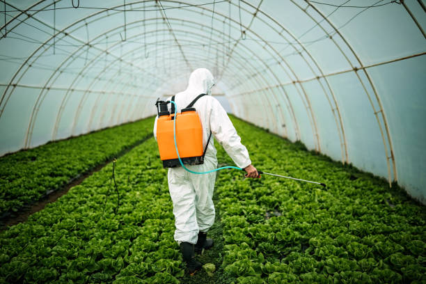 Best Best Pest Control Companies  in Pasadena, CA