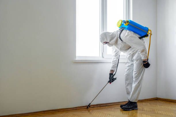 Best Exterminator Services  in Pasadena, CA