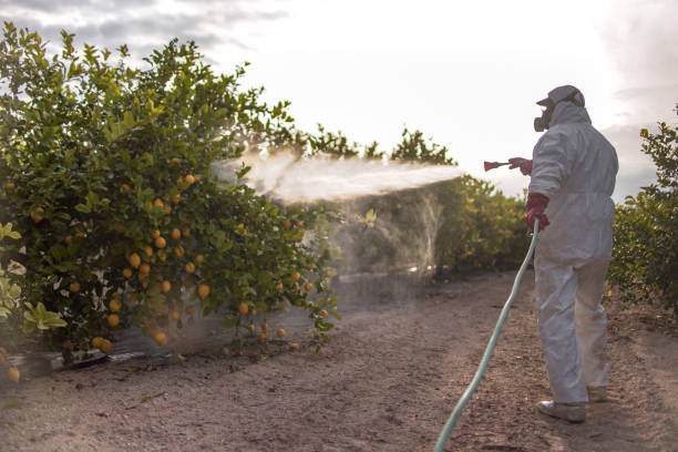 Best Pest Prevention Services  in Pasadena, CA