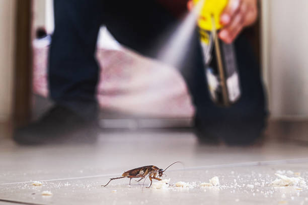Reliable Pasadena, CA Pest Control Solutions