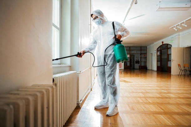Best Flea Control Services  in Pasadena, CA