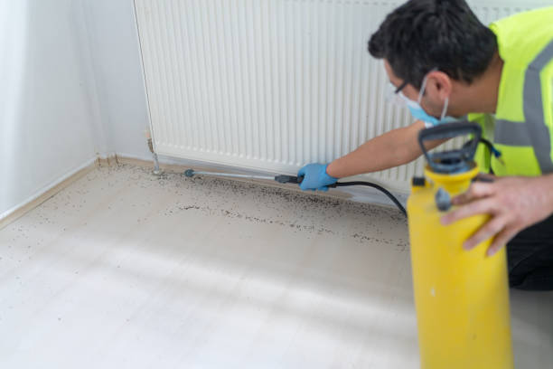 Pest Control Cost in Pasadena, CA