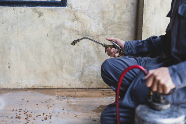 Reliable Pasadena, CA Pest Control Solutions