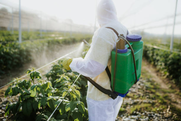 Insect Control in Pasadena, CA